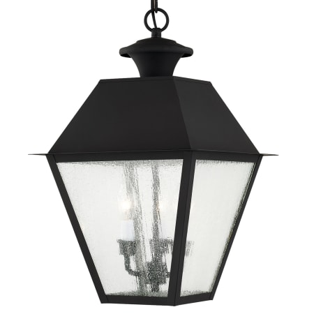 A large image of the Livex Lighting 2170 Black