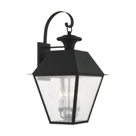 A large image of the Livex Lighting 2172 Black