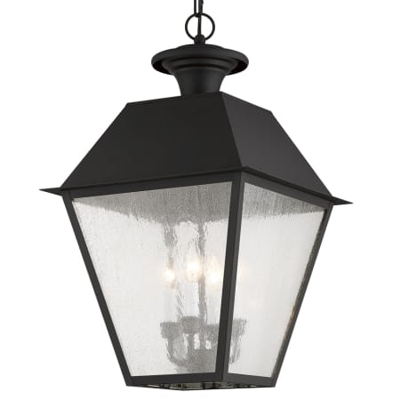 A large image of the Livex Lighting 2174 Black