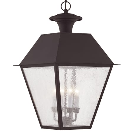 A large image of the Livex Lighting 2174 Bronze