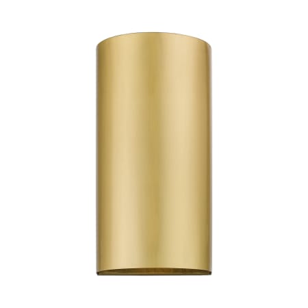 A large image of the Livex Lighting 22062 Satin Gold