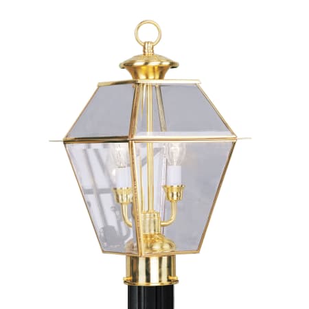 A large image of the Livex Lighting 2284 Polished Brass