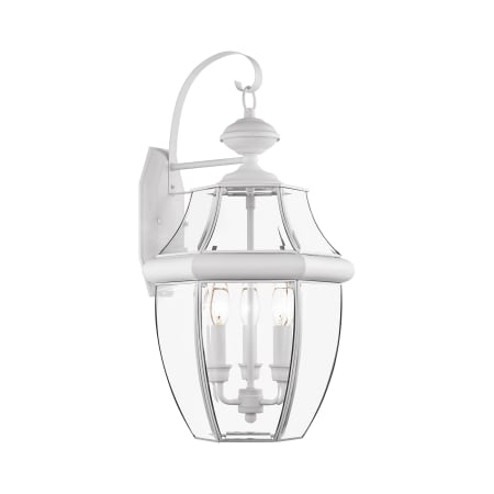 A large image of the Livex Lighting 2351 White