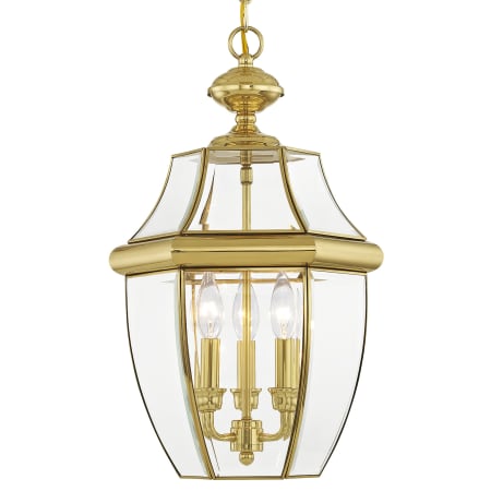 A large image of the Livex Lighting 2355 Polished Brass