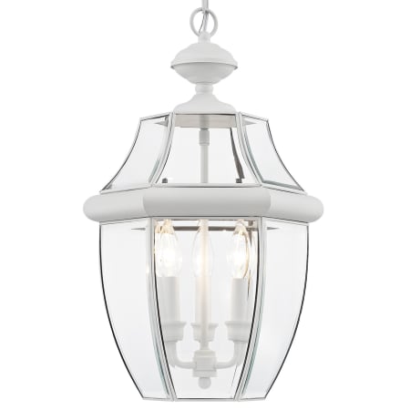 A large image of the Livex Lighting 2355 White