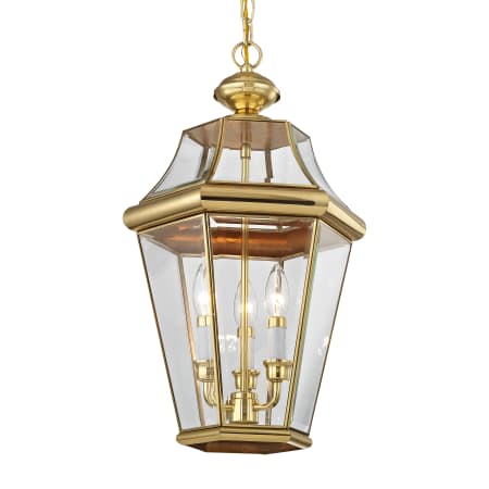 A large image of the Livex Lighting 2365 Polished Brass