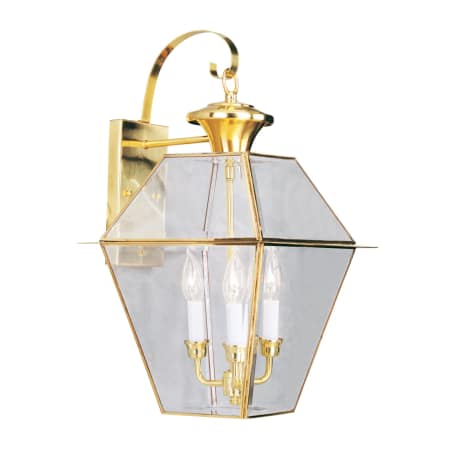 A large image of the Livex Lighting 2381 Polished Brass
