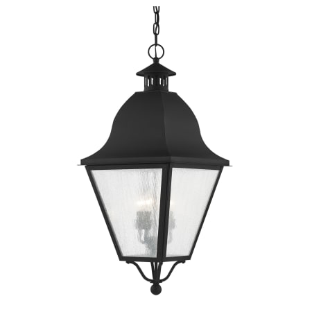 A large image of the Livex Lighting 2547 Black