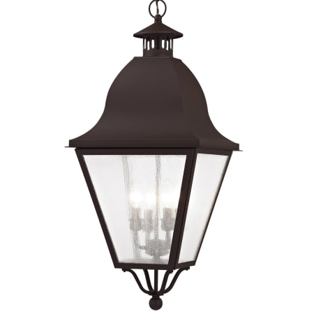 A large image of the Livex Lighting 2547 Bronze