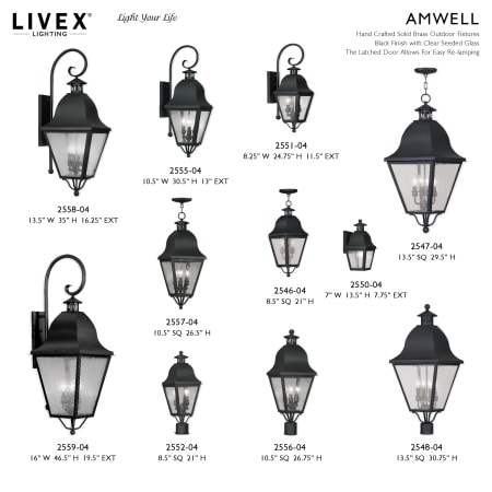A large image of the Livex Lighting 2547 Alternate Image