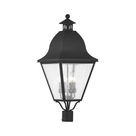 A large image of the Livex Lighting 2548 Black