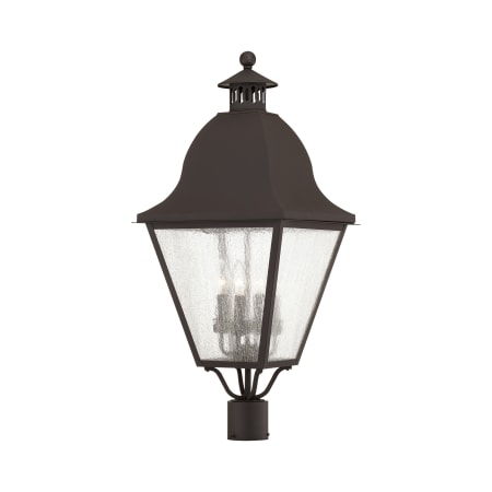 A large image of the Livex Lighting 2548 Bronze