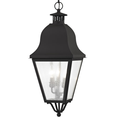 A large image of the Livex Lighting 2557 Black