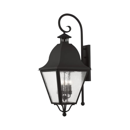 A large image of the Livex Lighting 2558 Black