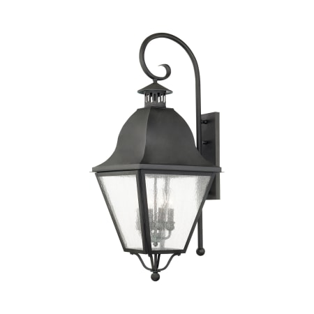 A large image of the Livex Lighting 2558 Charcoal
