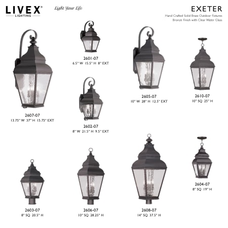 A large image of the Livex Lighting 2607 Alternate Image