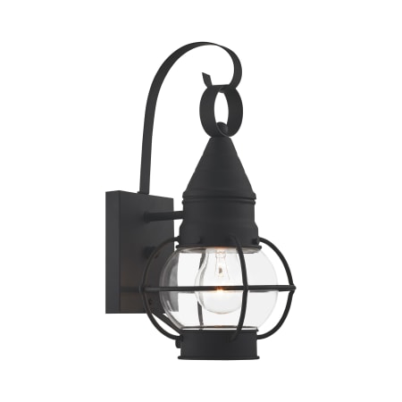 A large image of the Livex Lighting 26900 Black