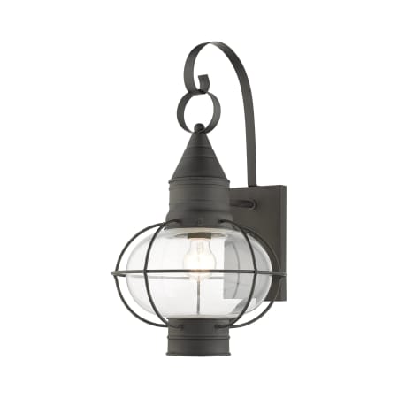 A large image of the Livex Lighting 26904 Charcoal