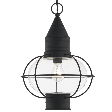 A large image of the Livex Lighting 26906 Black