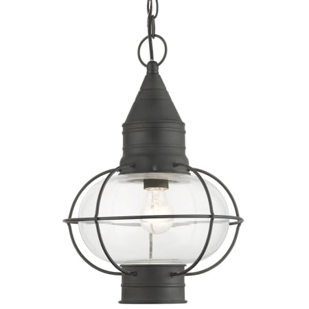 A large image of the Livex Lighting 26906 Charcoal