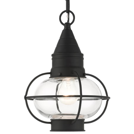 A large image of the Livex Lighting 26910 Black