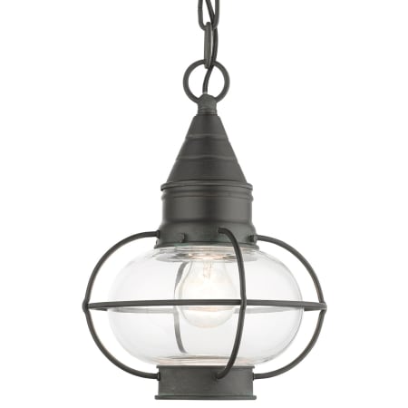 A large image of the Livex Lighting 26910 Charcoal