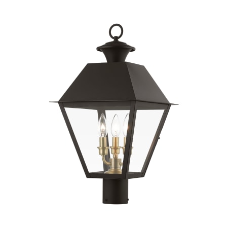 A large image of the Livex Lighting 27219 Bronze / Antique Brass Finish Cluster