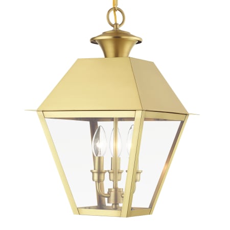 A large image of the Livex Lighting 27220 Natural Brass