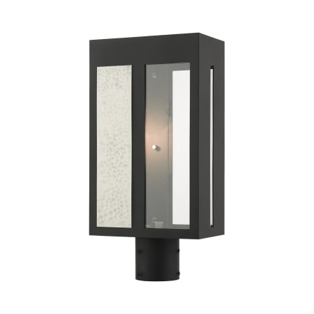 A large image of the Livex Lighting 27416 Black
