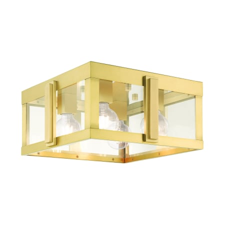 A large image of the Livex Lighting 27723 Natural Brass