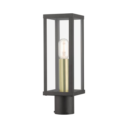 A large image of the Livex Lighting 28034 Bronze / Antique Gold
