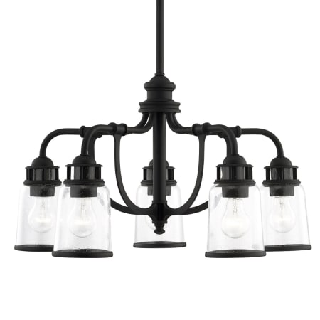 A large image of the Livex Lighting 40025 Black