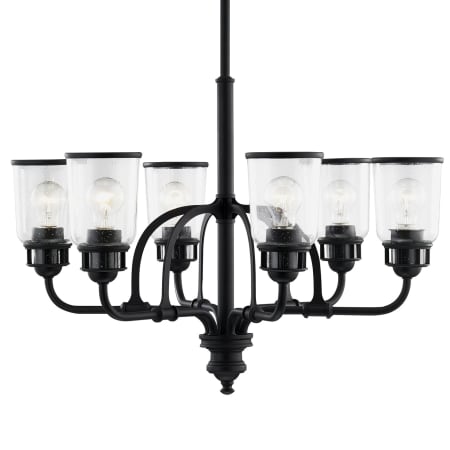 A large image of the Livex Lighting 40026 Black