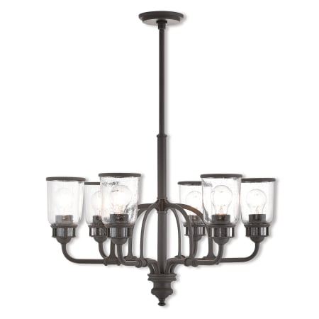 A large image of the Livex Lighting 40026 Bronze