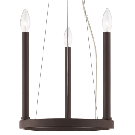 A large image of the Livex Lighting 40243 Bronze