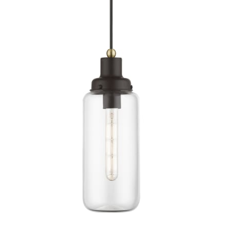 A large image of the Livex Lighting 40614 Bronze / Antique Brass Accent