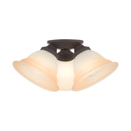 A large image of the Livex Lighting 40729 Bronze