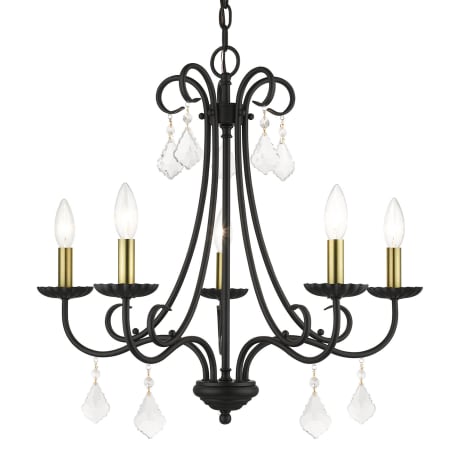 A large image of the Livex Lighting 40875 Black / Antique Brass