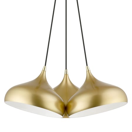 A large image of the Livex Lighting 41053 Soft Gold / Polished Brass