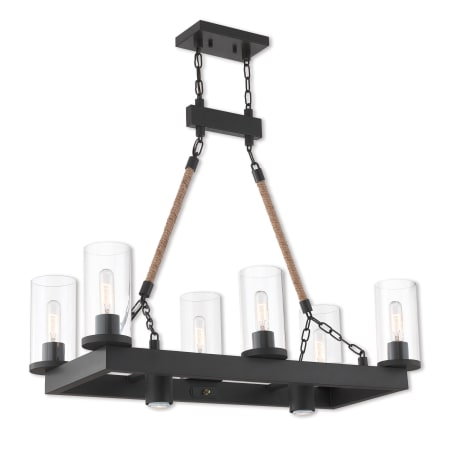A large image of the Livex Lighting 41066 Bronze