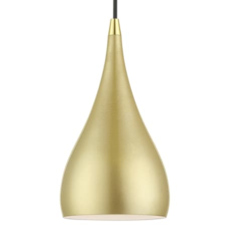 A large image of the Livex Lighting 41171 Soft Gold / Polished Brass Accents