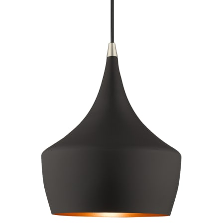 A large image of the Livex Lighting 41186 Black