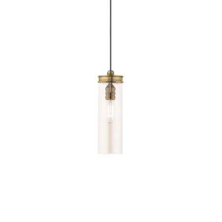 A large image of the Livex Lighting 41227 Antique Brass