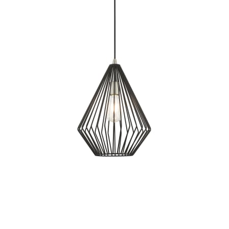 A large image of the Livex Lighting 41325 Black