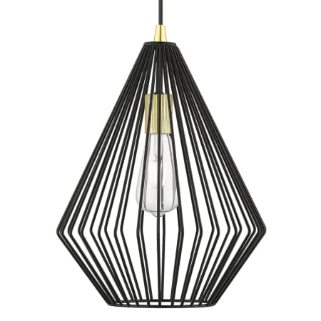 A large image of the Livex Lighting 41325 Shiny Black / Polished Brass Accents