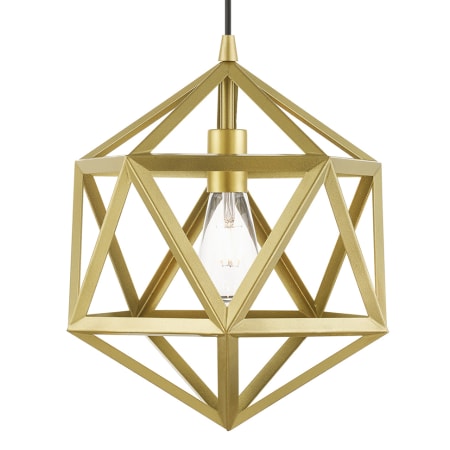 A large image of the Livex Lighting 41328 Soft Gold