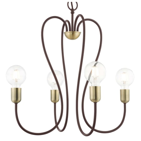 A large image of the Livex Lighting 41364 Bronze with Antique Brass Accents