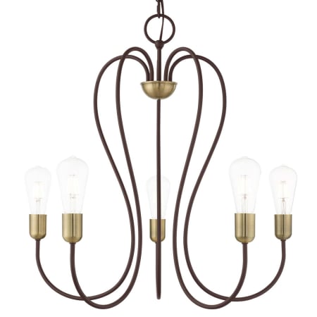 A large image of the Livex Lighting 41365 Bronze with Antique Brass Accents