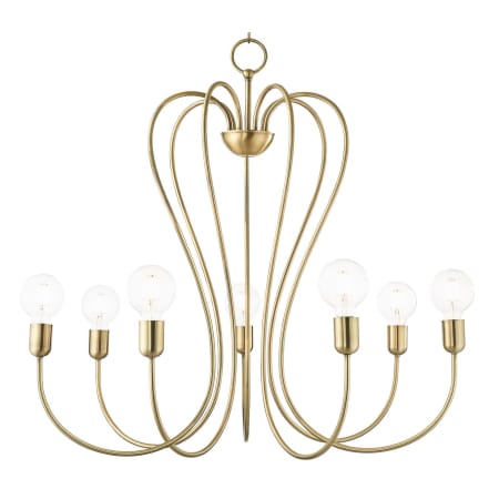 A large image of the Livex Lighting 41367 Antique Brass