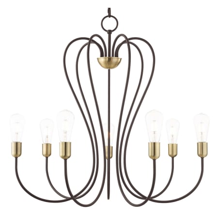 A large image of the Livex Lighting 41367 Bronze with Antique Brass Accents